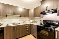 Broadstreet's South Pointe Terrace offers 1, 2, and 3 bedroom pet friendly apartments for rent in th... (image 2)