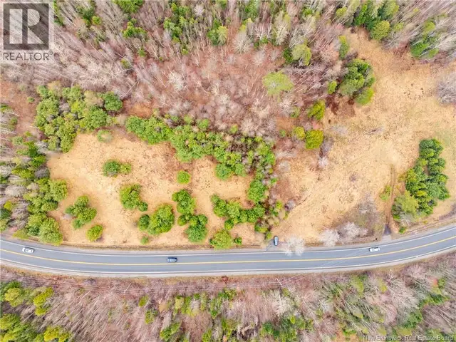 2997 Route 3 Hwy Harvey, New Brunswick in Land for Sale in Fredericton - Image 14
