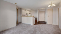 Beautiful One Bedroom for September 1st~Elevator-Pet Friendly