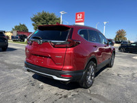 This 2021 Honda CR-V Sport, boasting a vibrant Radiant Red Metallic exterior and a sleek black inter... (image 3)