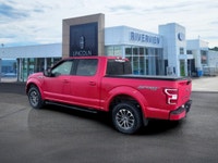 We take pride in offering only the highest quality used cars on the market. We never cut corners whe... (image 7)