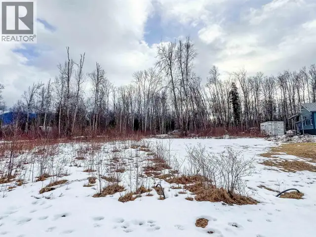 2 5115 SWANNELL DRIVE Hazelton, British Columbia in Land for Sale in Smithers - Image 6