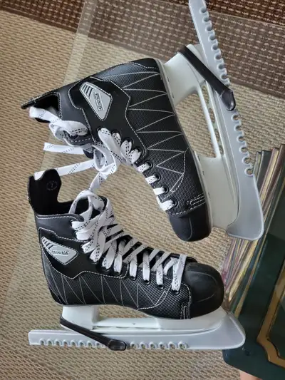 Ice Skates, View more