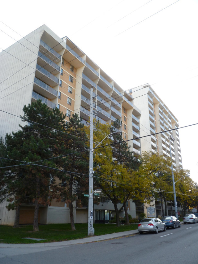1 BEDROOM - fully renovated with balcony - NOW AVAILABLE! in Long Term Rentals in Hamilton - Image 2