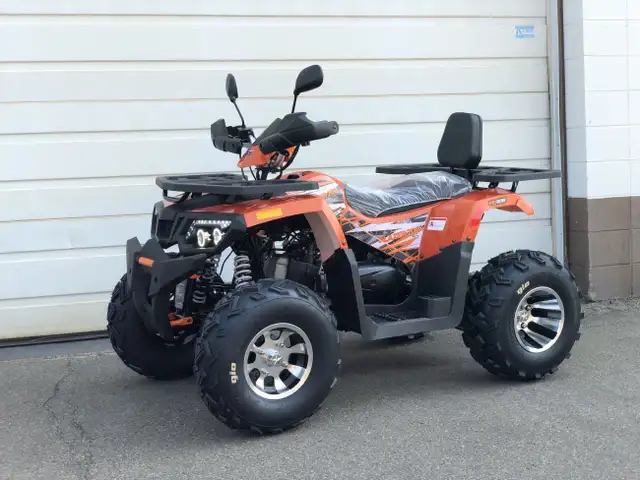 2024 Gio Blazer 200HS Premium Brand New! ATV/UTV Available in Ou in ATVs in Edmonton - Image 5