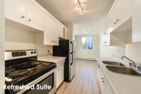 1 Bedroom - 6425 101 Ave. NW
