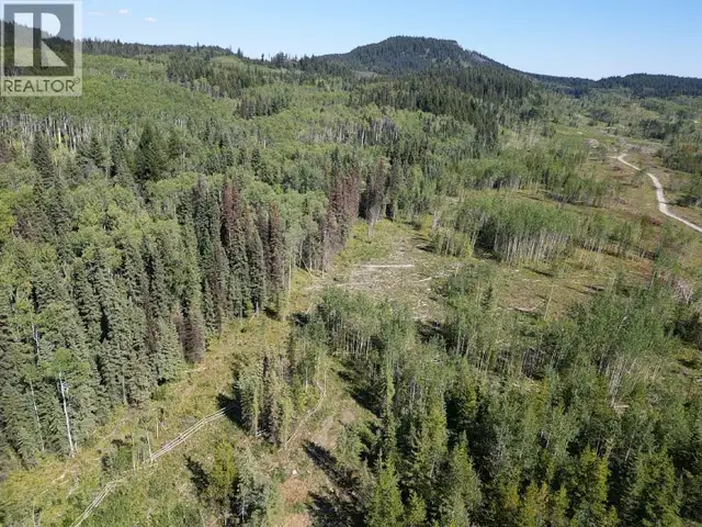 DL 6337 16 HIGHWAY Fraser Lake, British Columbia in Land for Sale in Burns Lake - Image 18