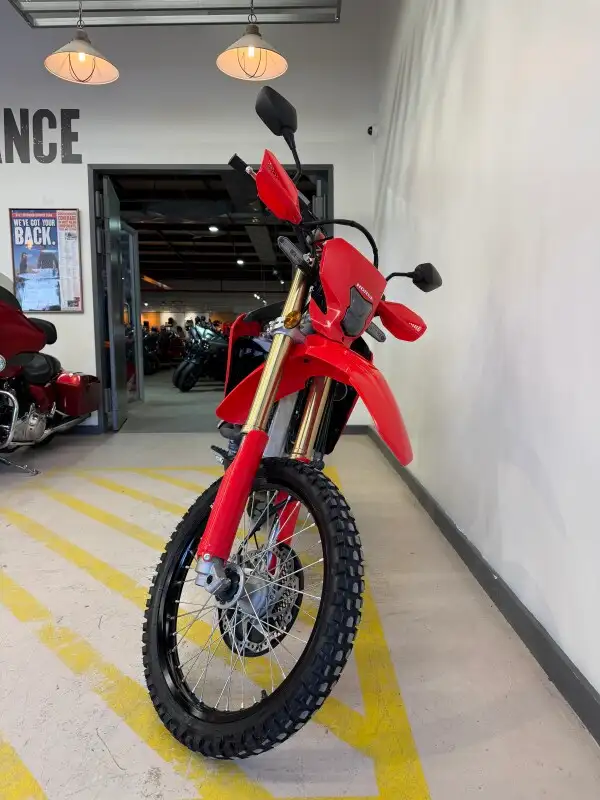 2024 Honda CRF450RL in Street, Cruisers & Choppers in Kingston - Image 4