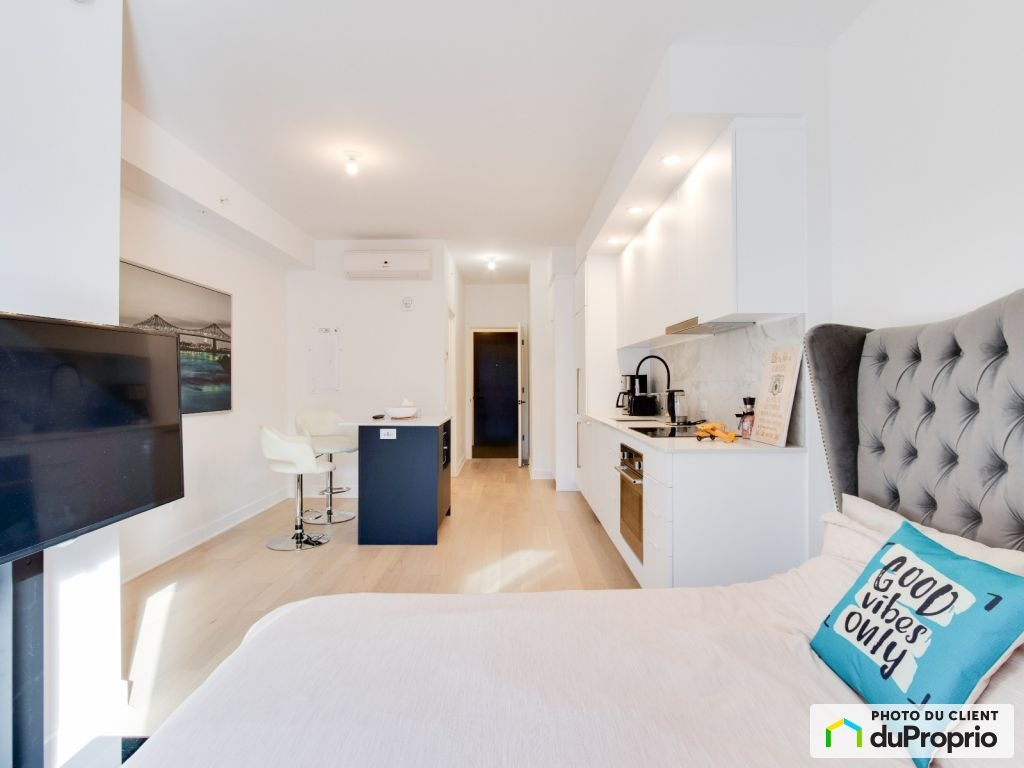 $280,000 - Condominium in Ville-Marie (downtown, old Mtl) — photo 3