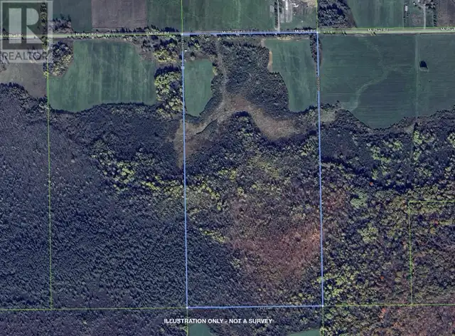 447 McPhail RD Bruce Mines, Ontario in Land for Sale in Sault Ste. Marie - Image 41