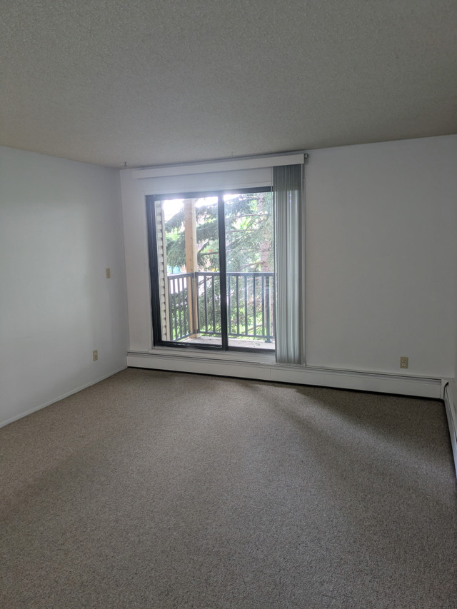 1 Bedroom - Senior Promo starting at $1295 (Heat & Water Incl.) in Long Term Rentals in Calgary