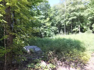 7.5 Acres Haliburton with Financing $737 per month, View more