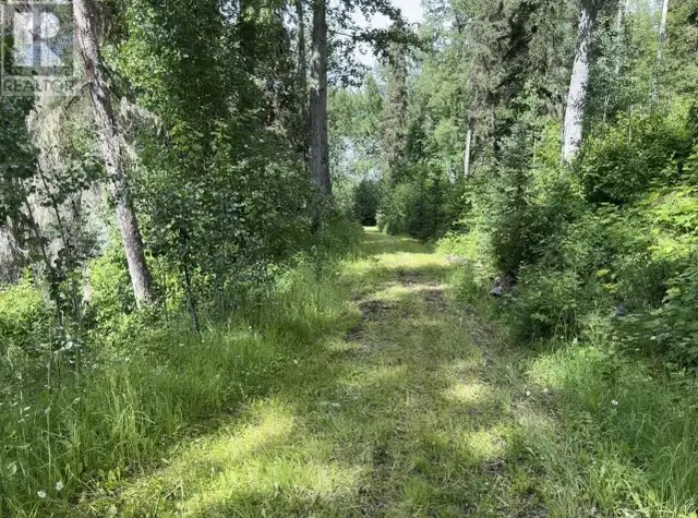 DL 1132 TELKWA HIGH ROAD Smithers, British Columbia in Land for Sale in Smithers - Image 29