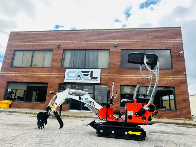 2026 CAEL Mini Pelle 0.8T avec moteur Briggs & Stratton avec pou ...