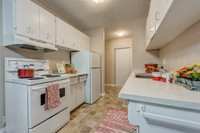 Surrounded by trees in the quiet, residential community of Mayland Heights, Mountainview Apartments... (image 6)