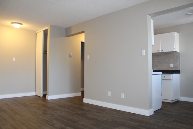 Oliver Apartment For Rent | McCam 1 Apartments in Long Term Rentals in Edmonton