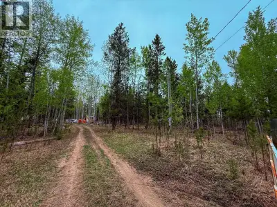 Nestled on over 10 acres of beautiful flat, treed land, in a desirable area this charming property i...