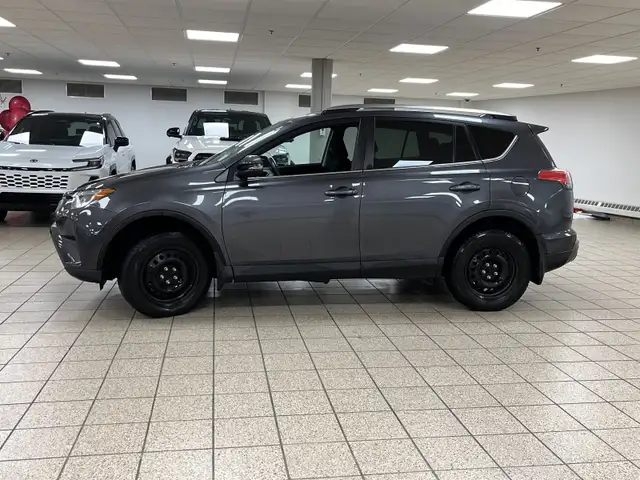 2018 Toyota RAV4 LE602770014974126082