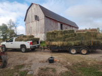 custom hay cutting