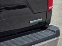 Come see this 2019 Ford F-150 before it's too late! *You Can't Beat the Price with These Options * E... (image 4)