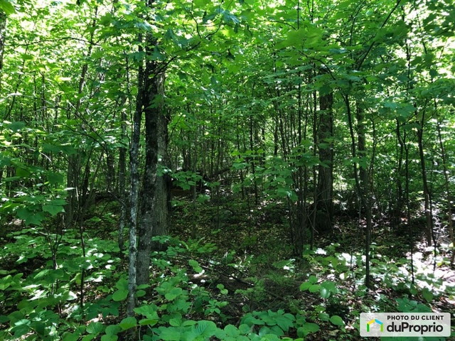 $345,000 - Price taxes not included - Residential Lot for sale — photo 2