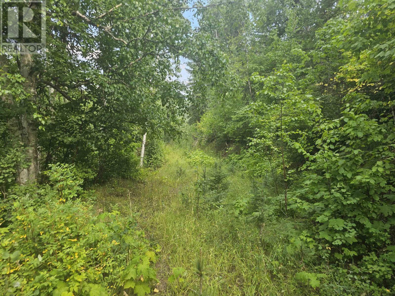 3906 BEAVER VALLEY ROAD Horsefly, British Columbia Houses for Sale