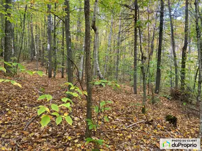 Lot #3 Superficie : 17 754,5 m2 ou 4,39 acres Dimensions approximatives : 73 m x 242 m ou 278' x 794...