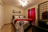 SPACIOUS JR. ONE-BEDROOM APARTMENT FOR RENT IN WINDSOR! SELECT APARTMENTS FULLY RENOVATED WITH PREMI... (image 6)