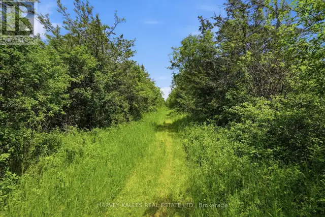 685 COUNTY 8 ROAD Prince Edward County (Hallowell), Ontario in Land for Sale in Belleville - Image 9