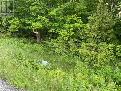 97 acres of rolling treed property with mainly oak and maple trees. Frontage on Hwy 511 where an ent...