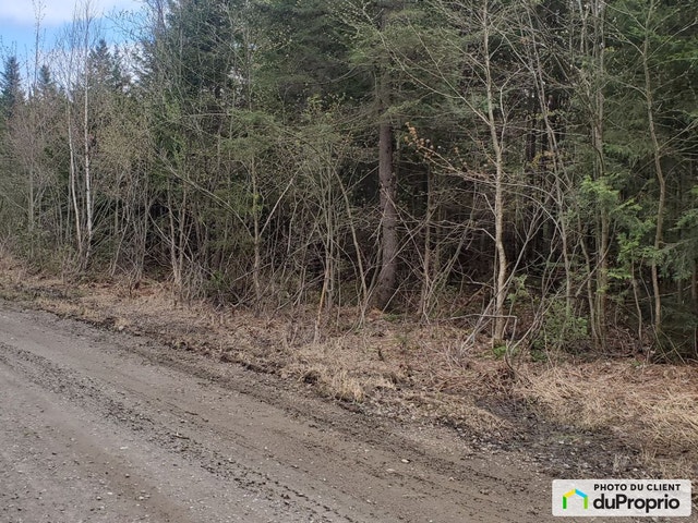 $72,990 - Residential Lot for sale in St-Adolphe-D'Howard — photo 2