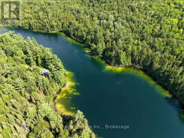 382 OLD DETLOR ROAD Bancroft (Dungannon Ward), Ontario in Land for Sale in Trenton - Image 5
