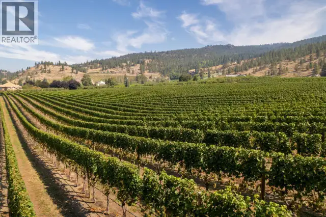 1116 Naramata Road Penticton, British Columbia in Land for Sale in Penticton - Image 10
