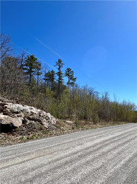 Lovely 1.75 acre lot on Bass Point Rd!