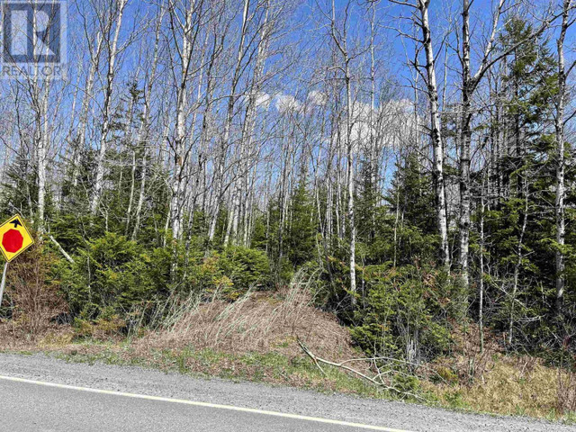 Lot Rock Road, Maple Grove Land for sale in Land for Sale in Truro - Image 2