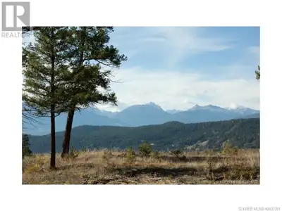 The expansive Lot 18 on Saddlewood Lane offers a pristine setting for your dream mountain home. Surr...