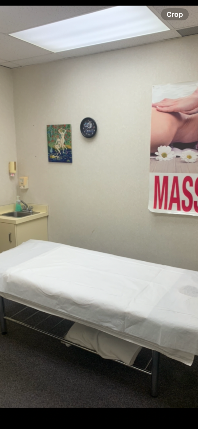 MASSAGE  &  ACUPUNCTURE  Spa in Massage Services in St. Catharines - Image 6