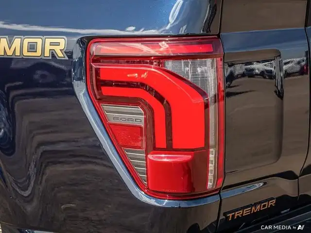 2025 Ford F-150 Tremor in Cars & Trucks in Edmonton - Image 14