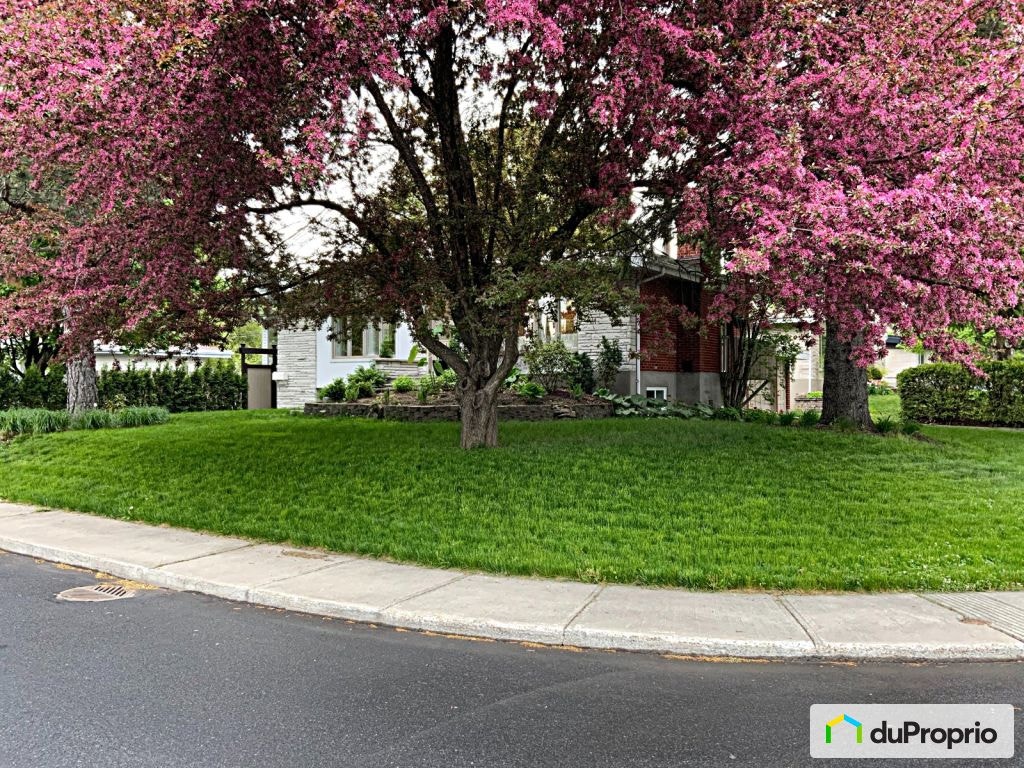 $999,000 - Bungalow for sale in Boucherville — photo 3