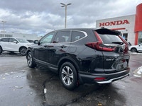 Navigate bustling city streets and tranquil country roads with unparalleled confidence in this 2022... (image 6)