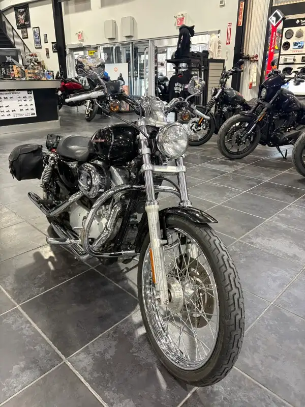 2004 Harley-Davidson Sportster 883 Custom in Sport Bikes in Sudbury - Image 2