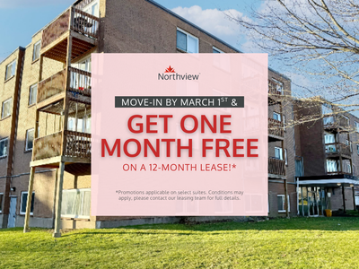 Current Promotions: Limited-Time Offer: Get 1 Month Free Rent on a 12-Month Lease! With a convenient...