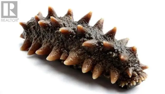 15781 EAST EGMONT SHORELINE Egmont, British Columbia in Houses for Sale in Sunshine Coast - Image 39