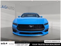 2025 Ford Mustang EcoBoost Premium Odometer is 612 kilometers below market average! Ready for anythi... (image 5)