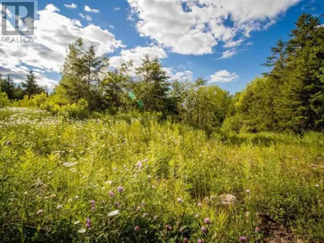 Lot A2 Aylesford Road Lake Paul, Nova Scotia in Land for Sale in Annapolis Valley - Image 11