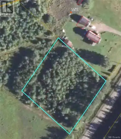 Looking for a lot to build on? One acre treed lot 40 minutes away from Sussex, less than an hour awa...