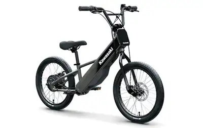 From the brand behind the KX motocross powerhouse comes the Elektrode 16 electric balance bike. Litt...