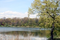 Waterford Townhomes for rent in Mississauga are within walking distance to Meadowvale Town Centre, s... (image 6)