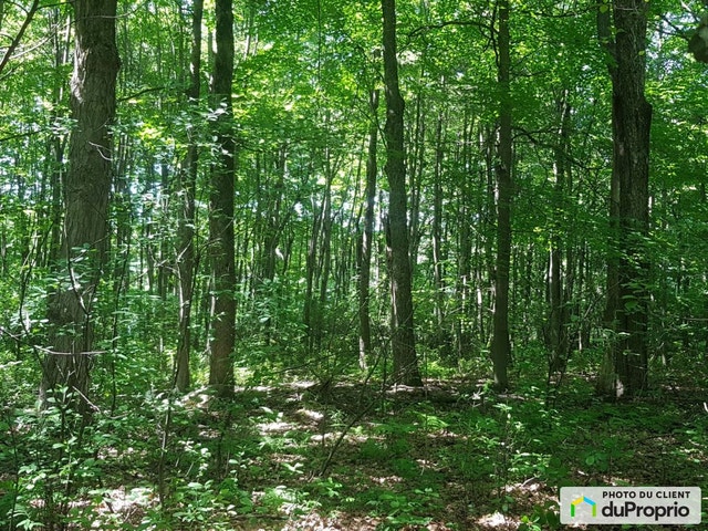 $1,079,910 - Residential Lot for sale in Granby — photo 3