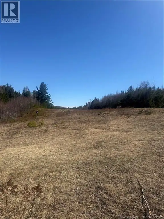 Vacant Land Route 785 Mcdougall Lake, New Brunswick in Land for Sale in Fredericton - Image 6